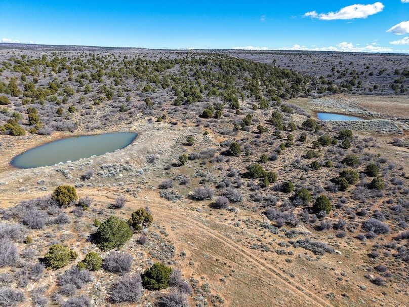 DJI_20260303123405_0071_D