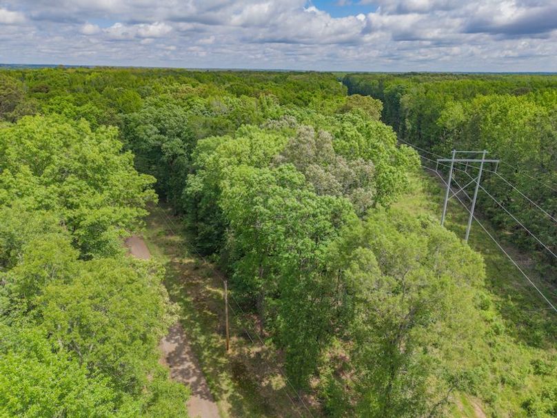 DJI_20250501115456_0424_D