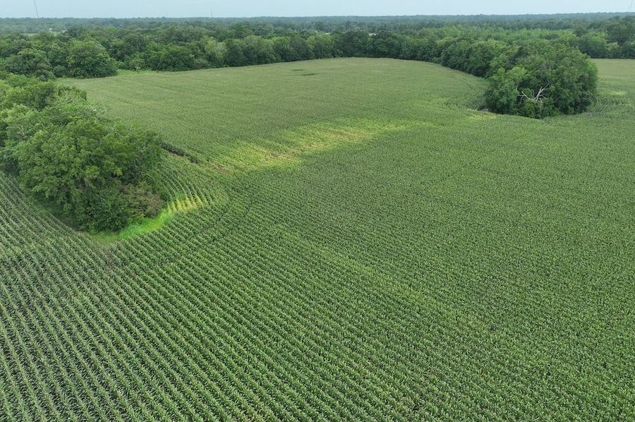 dji_fly_20240620_102418_549_1718899064644_photo