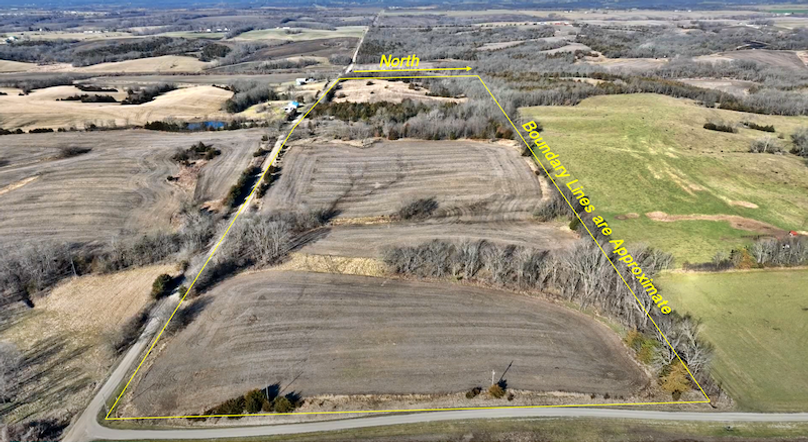 Screenshot 2024-03-09 at 11.47.59 AM