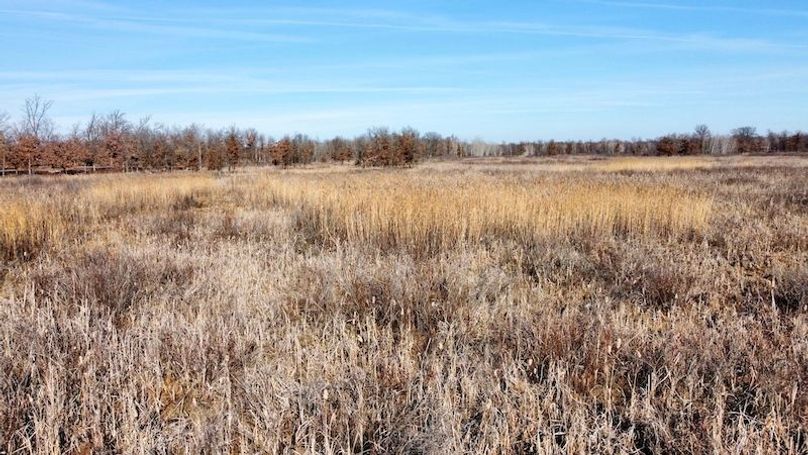 dji_fly_20240205_132704_13_1707264483275_photo_optimized 2