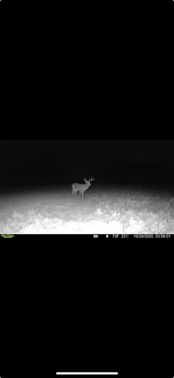 Screenshot 2026-01-06 at 4.34.24 PM