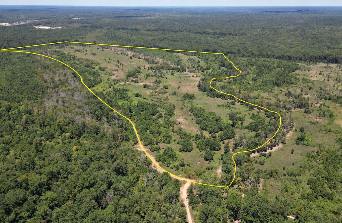 New Pic 3 149 Clarke