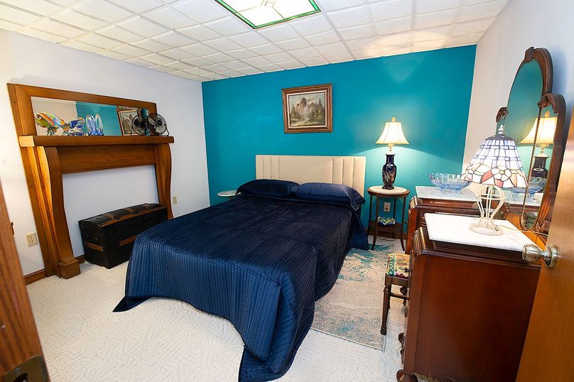 basement Bedroom