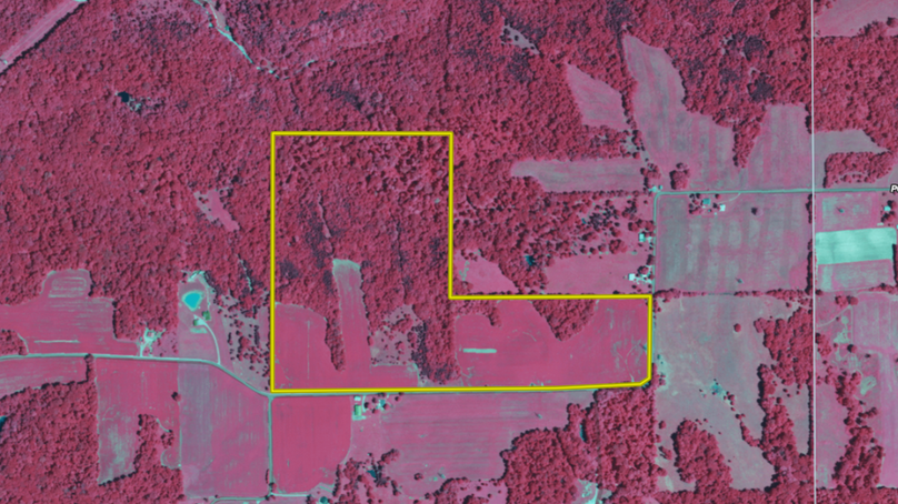 Screenshot 2024-10-23 080639