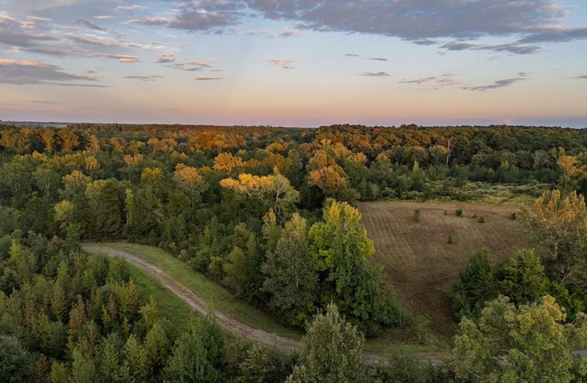 1 Edited Harison co. 206 - Ed Robb-140