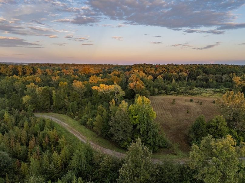 1 Edited Harison co. 206 - Ed Robb-140