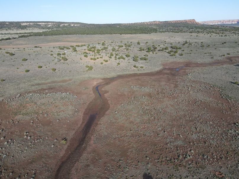 dji_fly_20240504_075402_341_1714830862238_photo