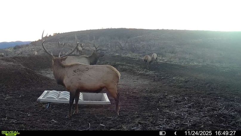 016578003984348-49-2-11242025164927-V-SYFW01801