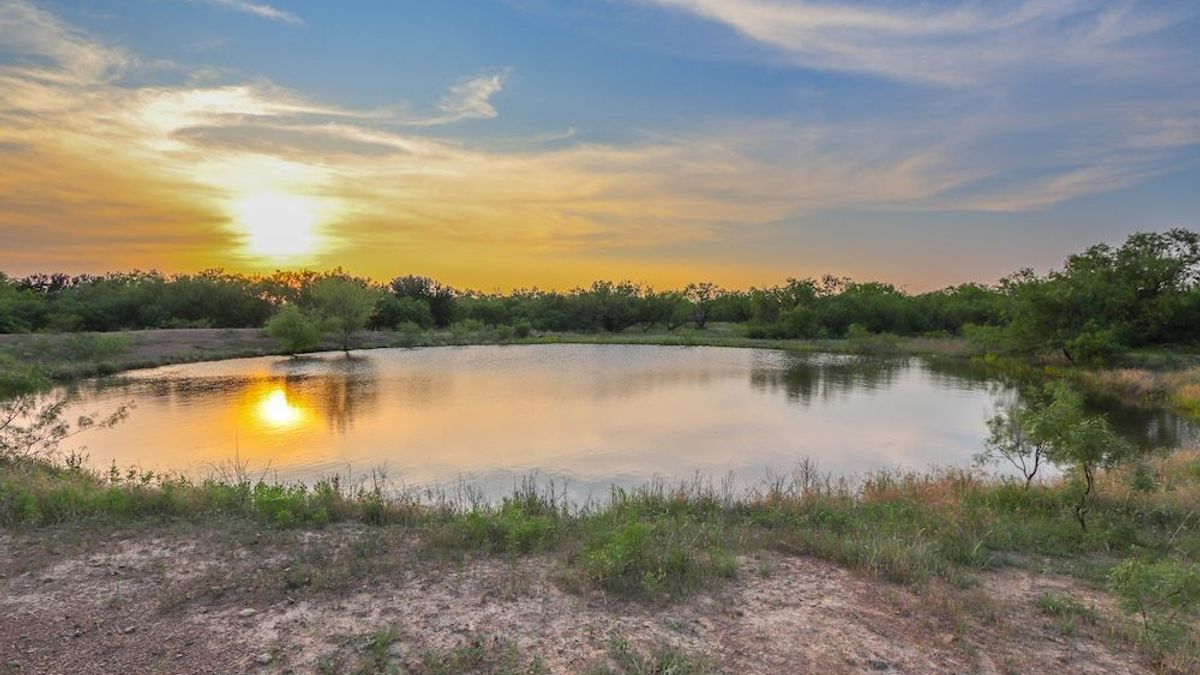 Double R Ranch | Whitetail Properties