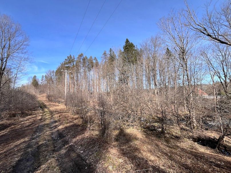 Lewis_26_Somberg Photo 34