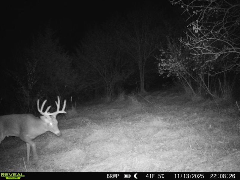 860322065924133-100-4-11132025220826-W1000975