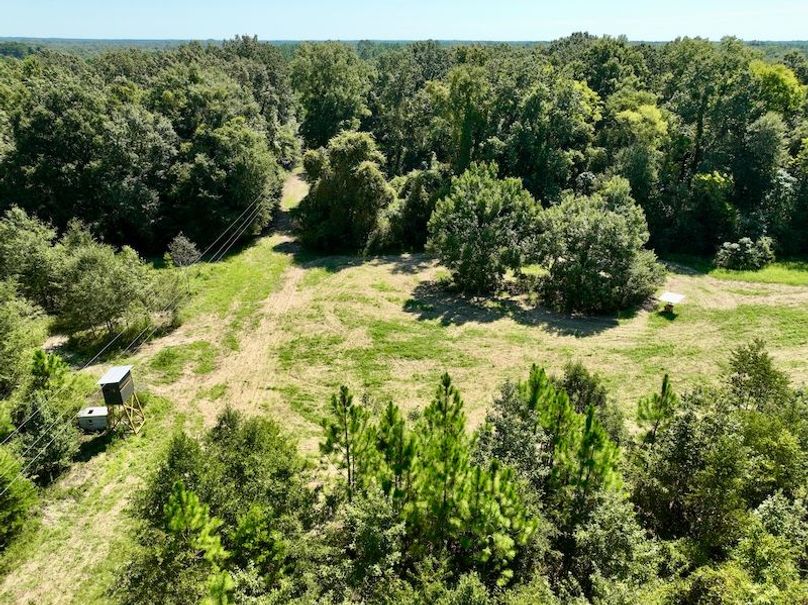 dji_fly_20250903_114042_109_1756914527142_photo