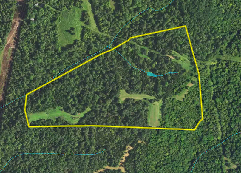 Screen Shot 2024-06-12 at 4.25.28 PM