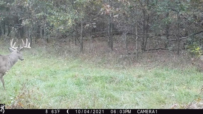 Sauk 174 Trailcam - 51