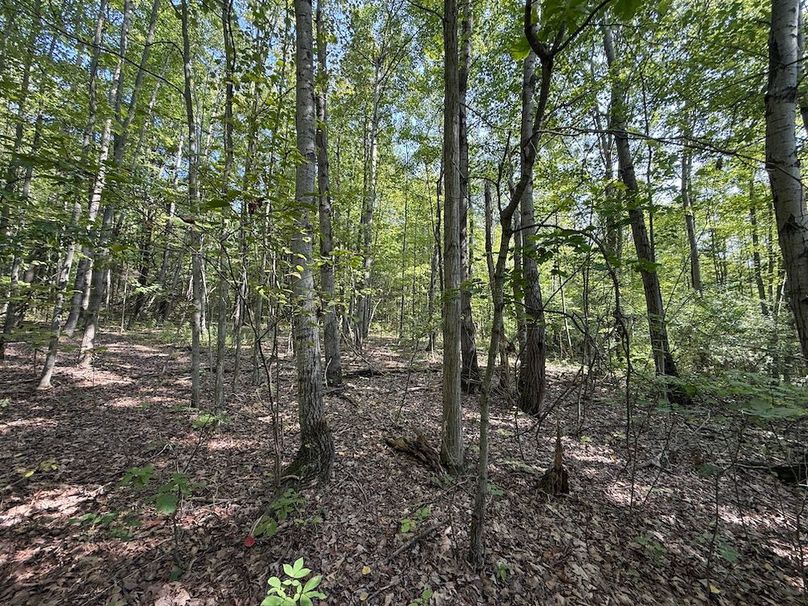 Chemung_20.82_Meyers Photo 14