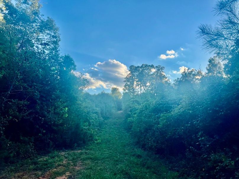 14E67911-A3C7-425F-A0E4-7FE405AD0598_1_201_a