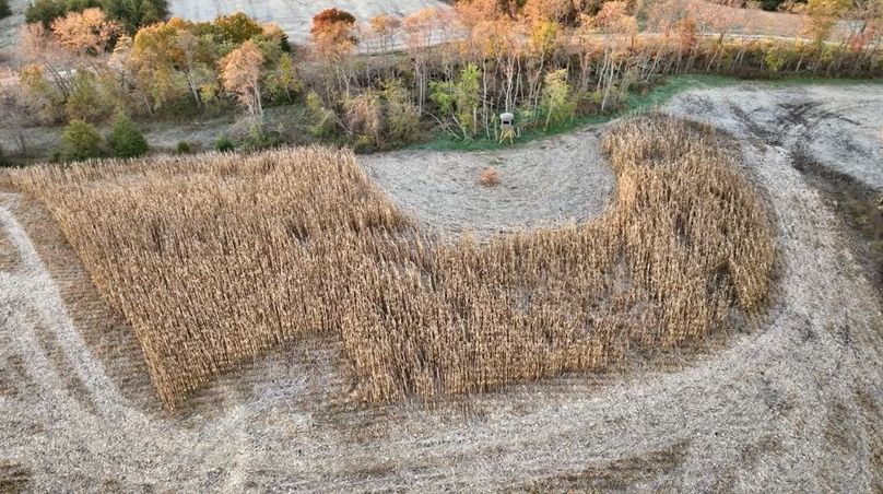 Screenshot 2025-11-20 at 10.06.13 AM