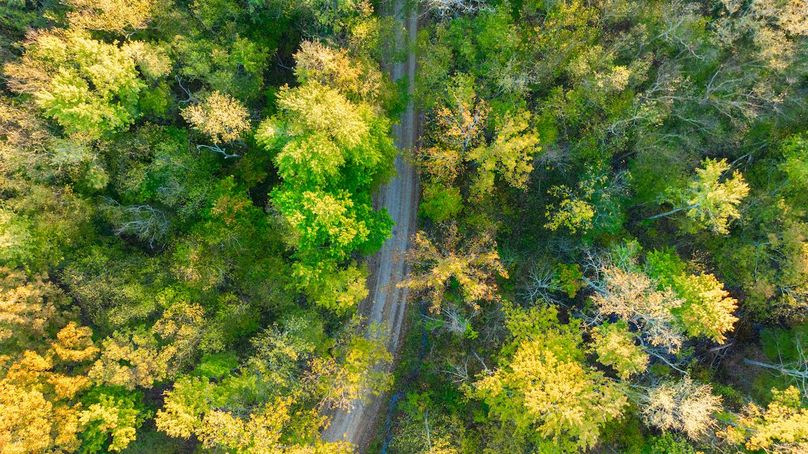 DJI_20251022190312_0005_D