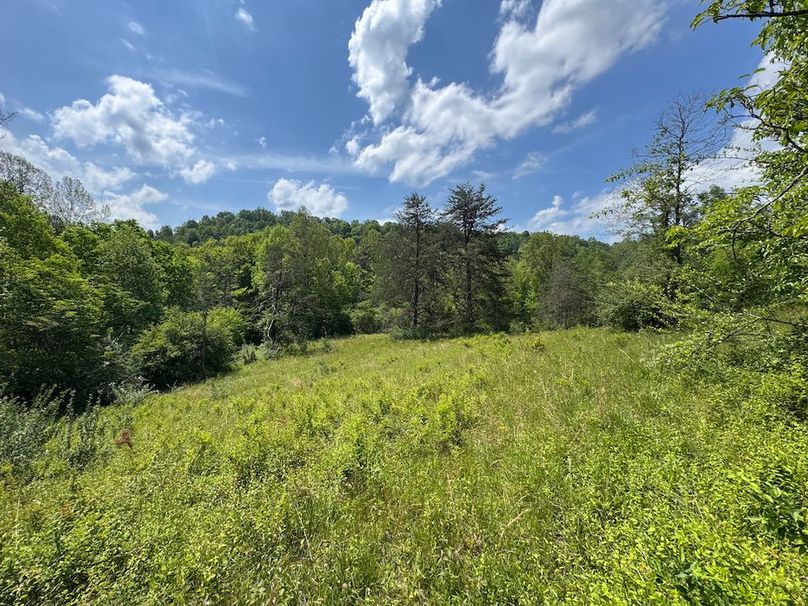Calhoun, WV 29 AC Minney-29