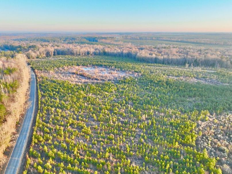 dji_fly_20250222_073404_420_1740228283077_photo