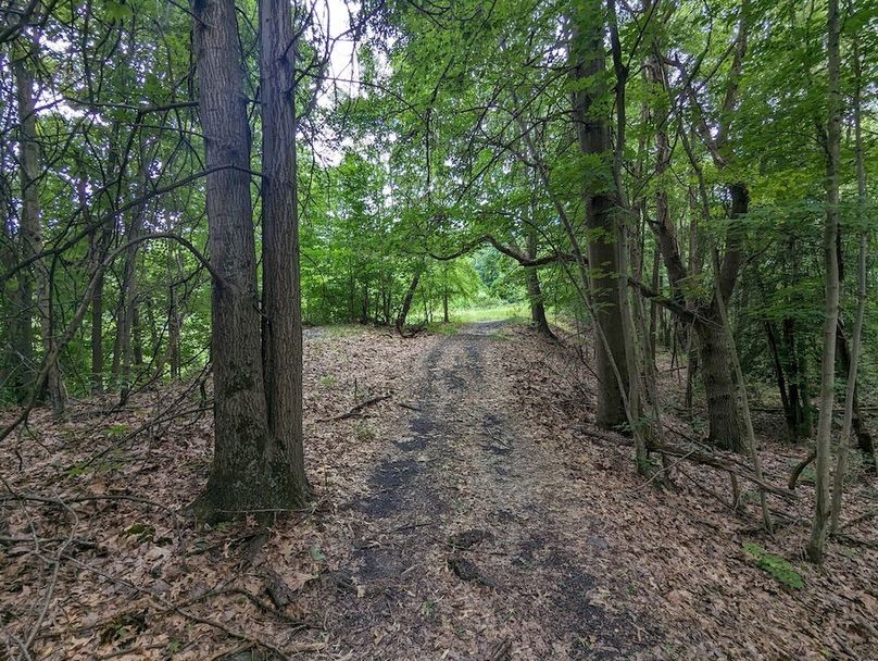 PXL_20240607_190846378