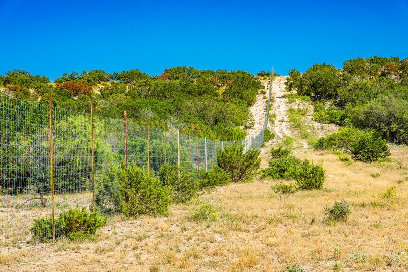 51-web-or-mls-DSC08967