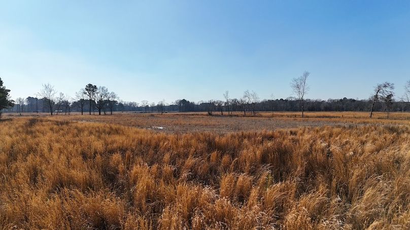 dji_fly_20260206_112642_0241_1770395789133_photo