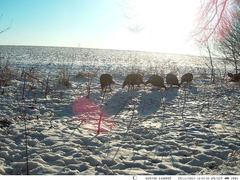 2024-1129-163433_000432