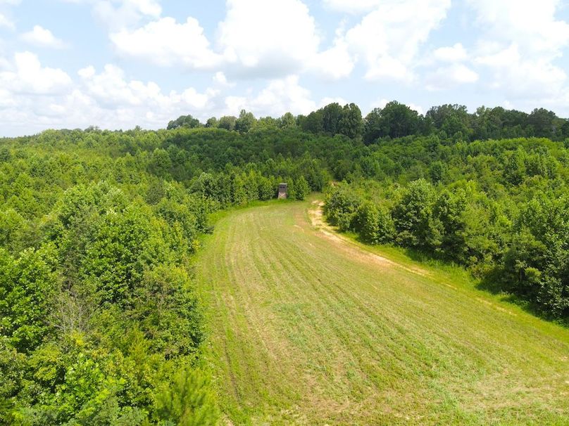 dji_fly_20250729_113004_819_1753803032910_photo