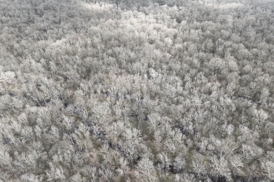 dji_fly_20250207_121532_998_1738961446727_photo