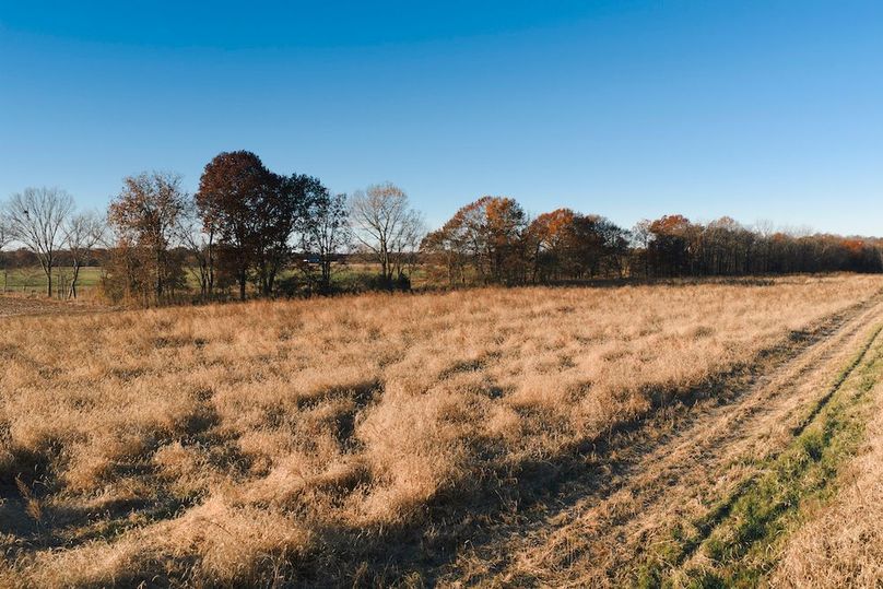 DJI_20251116075254_0035_D