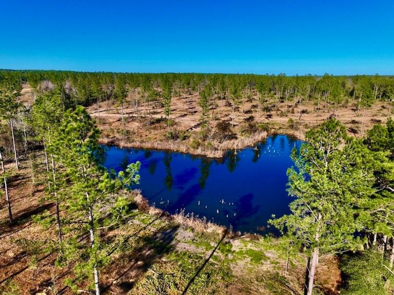 054DDDEB-B5DC-4BE4-BD68-C9922B19C74C_1_105_c