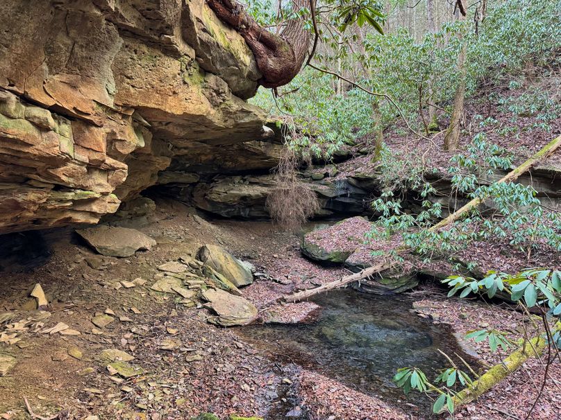 002 awesome cave like features on the feeder stream to Lower Laurel Creek