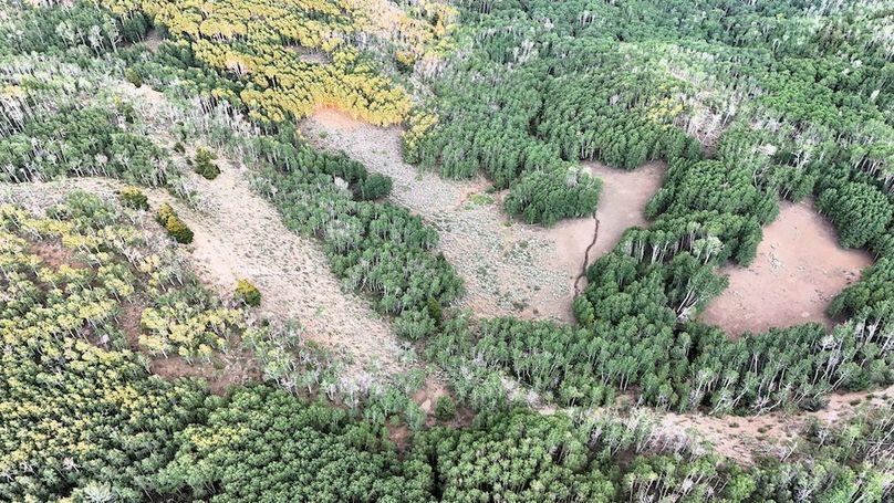 DJI_20250726190909_0295_D