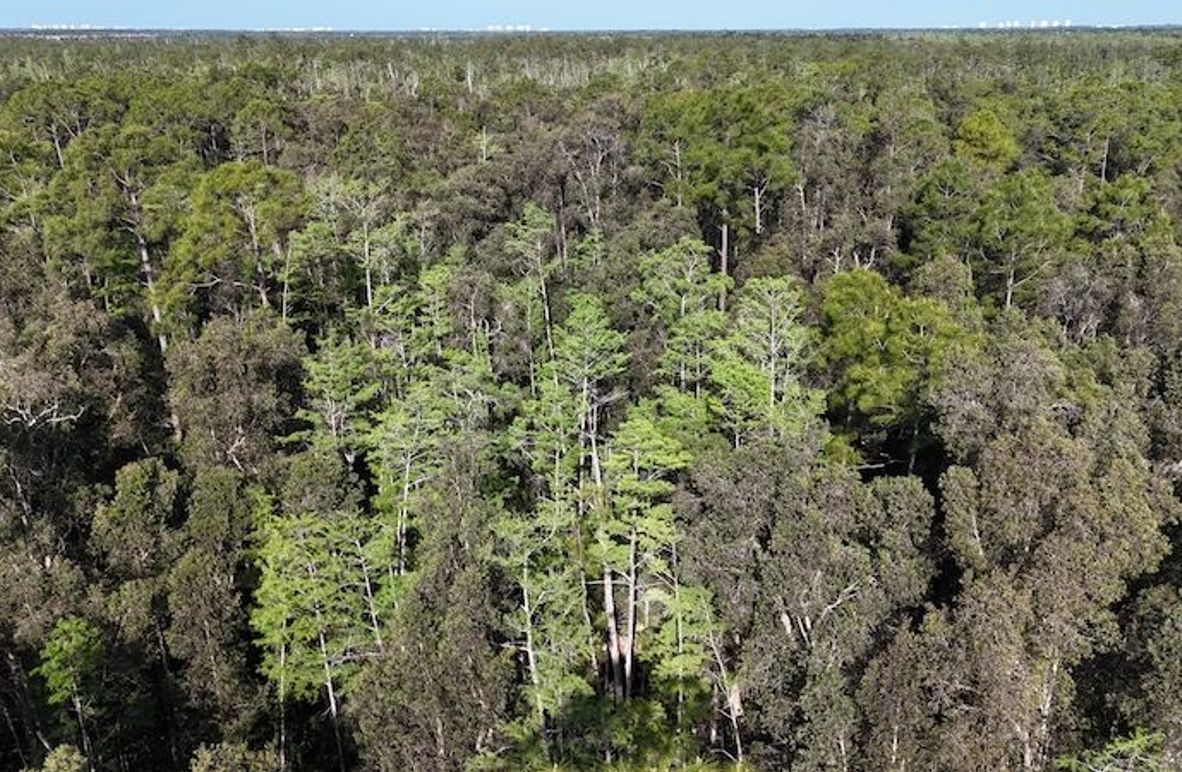 DJI_20260422092131_0492_D