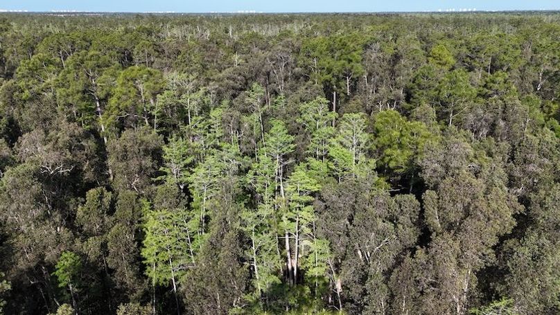 DJI_20260422092131_0492_D