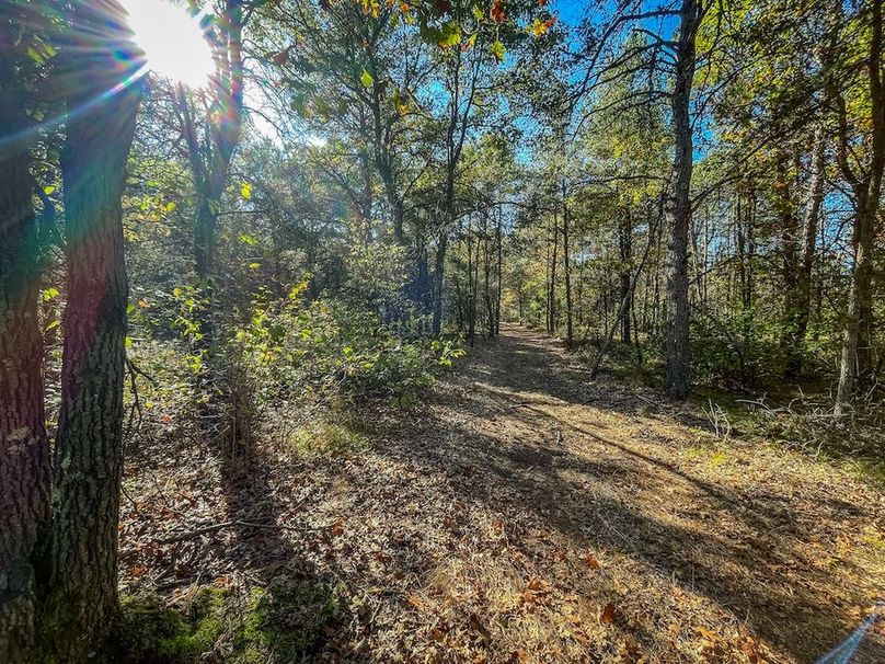 Juneau 27 Wiesner -065