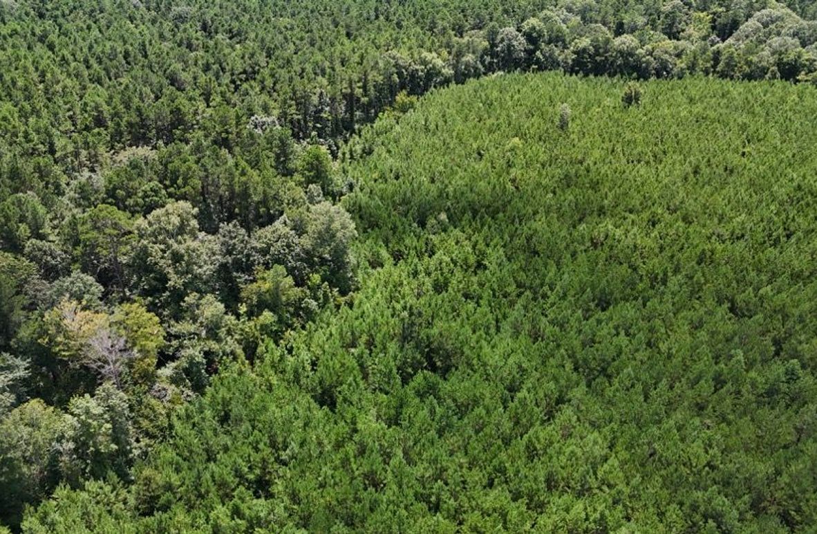 DJI_20250727033757_0546_D