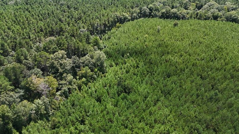 DJI_20250727033757_0546_D