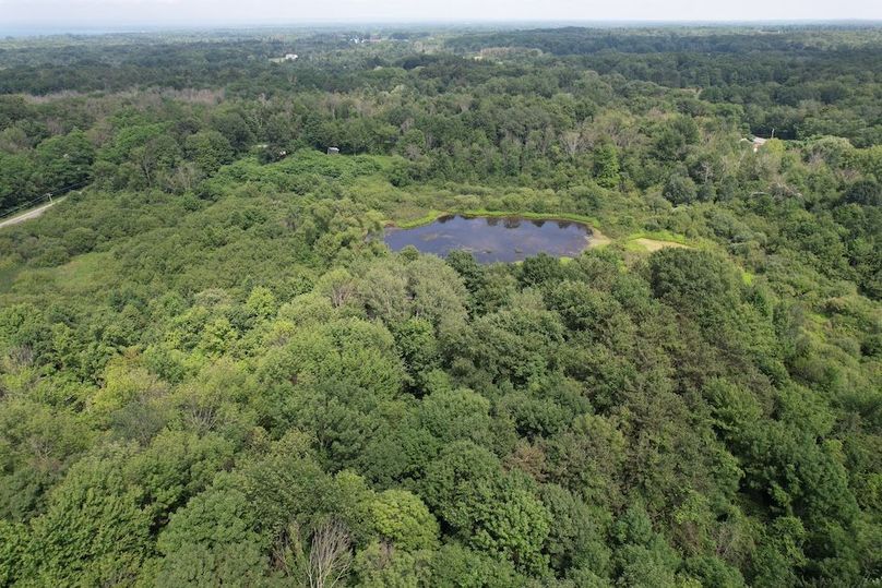 Oswego_13.95_Moore_Bush_Photos_10