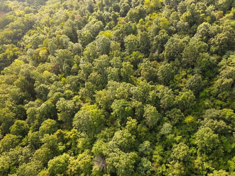 dji_fly_20250826_084222_703_1756215756331_photo