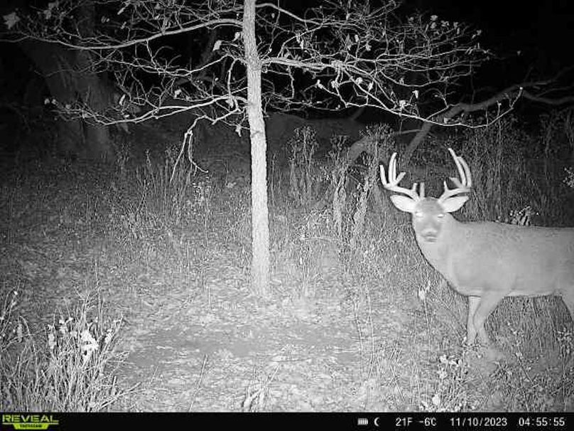 864049057339675-100-3-11102023045554-W1000244