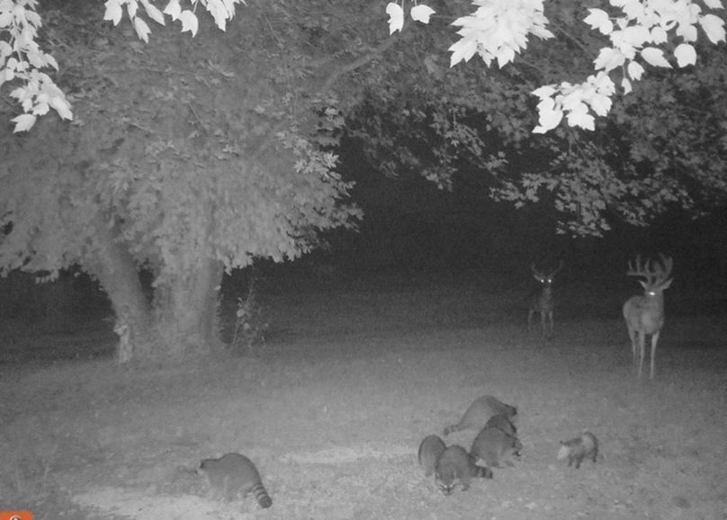 B8A4857A-9907-4EB9-8B5D-38E4688488FA