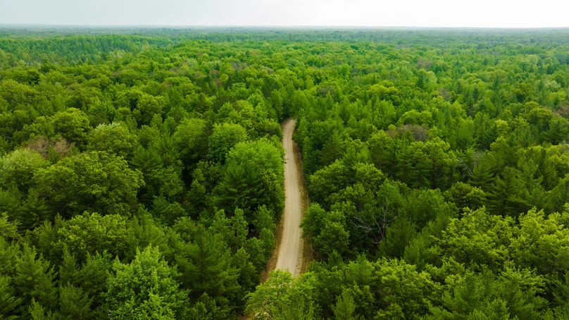 Ogemaw MI 475 Featured Pro Photo-0201