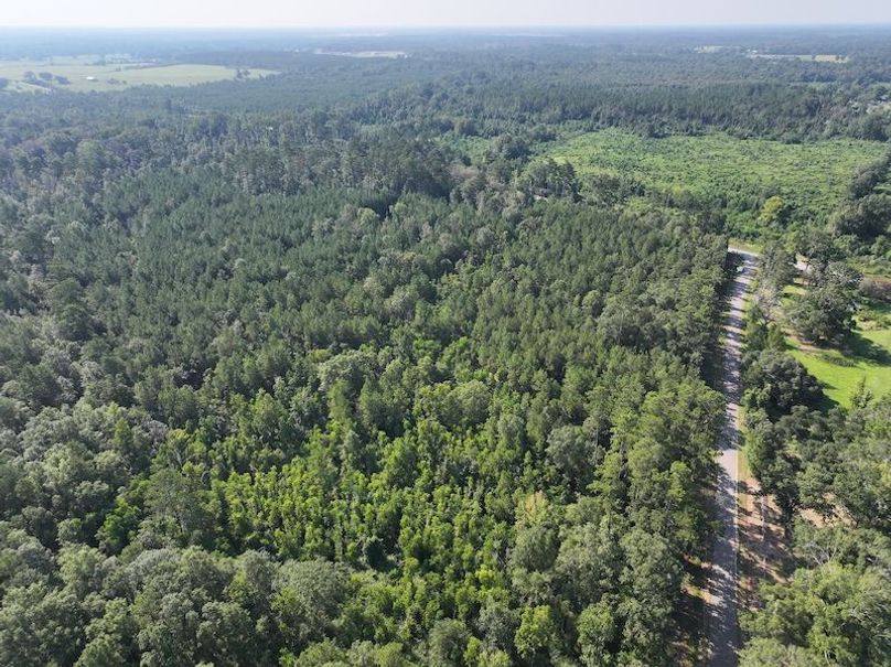 dji_fly_20250818_095134_0362_1755614659073_photo