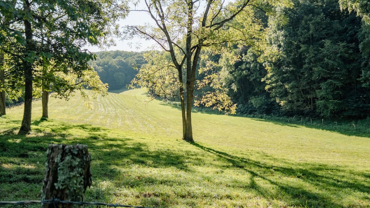 Secluded Retreat With Woodlands, Pastures, Springs, And ATV Paradise