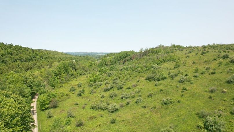 dji_fly_20250602_115558_292_1748879846656_photo