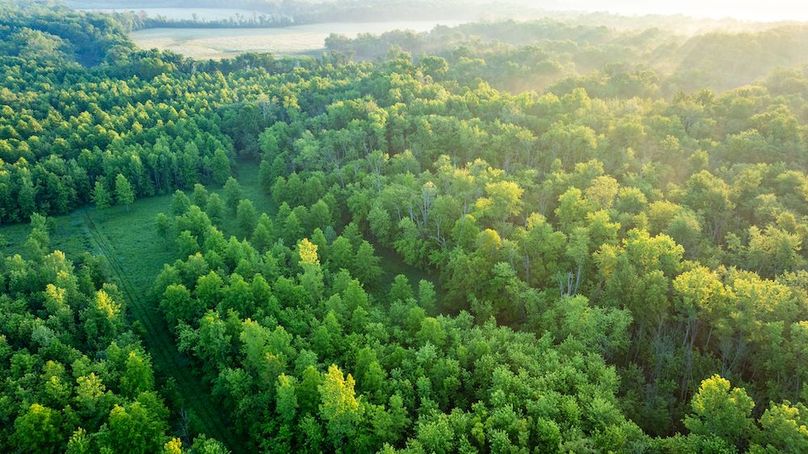 DJI_20250514053354_0020_D