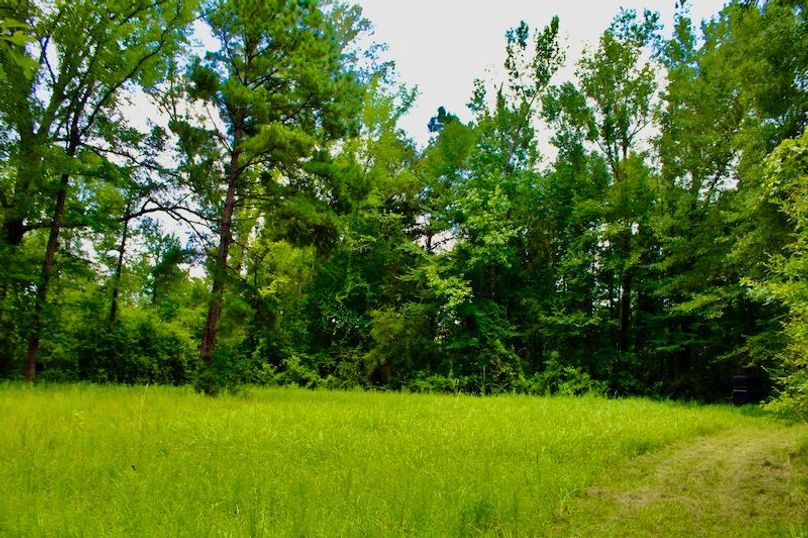 A7EF88C2-3AA7-47FD-9876-487B3C4BA06F_1_201_a